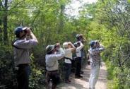 Birders Pt Pelee c